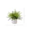 13" Artificial Boston Fern Plant with Decorative Planter